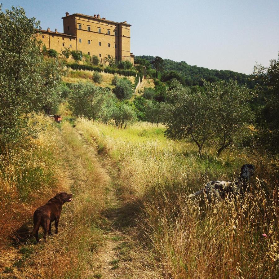 Castello Di Potentino Seggiano Εξωτερικό φωτογραφία