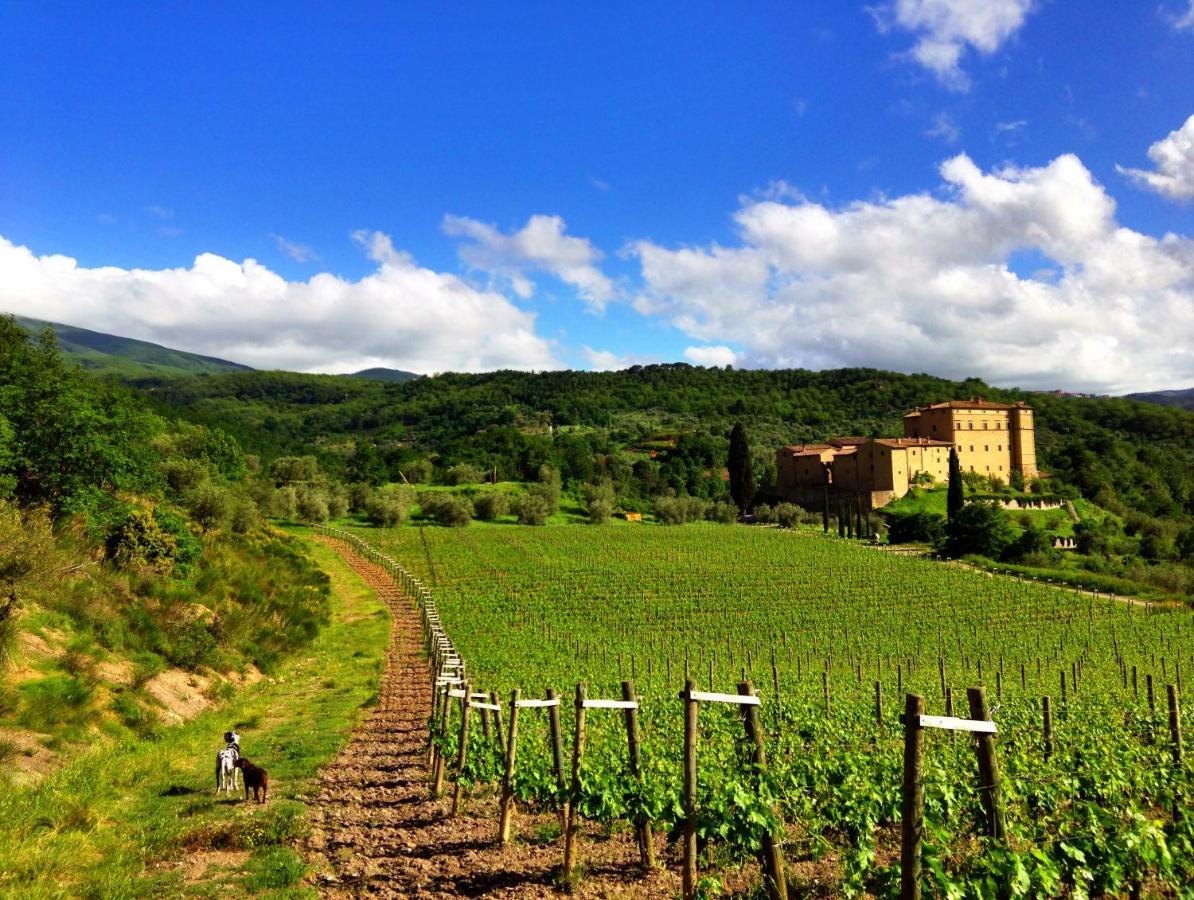 Castello Di Potentino Seggiano Εξωτερικό φωτογραφία